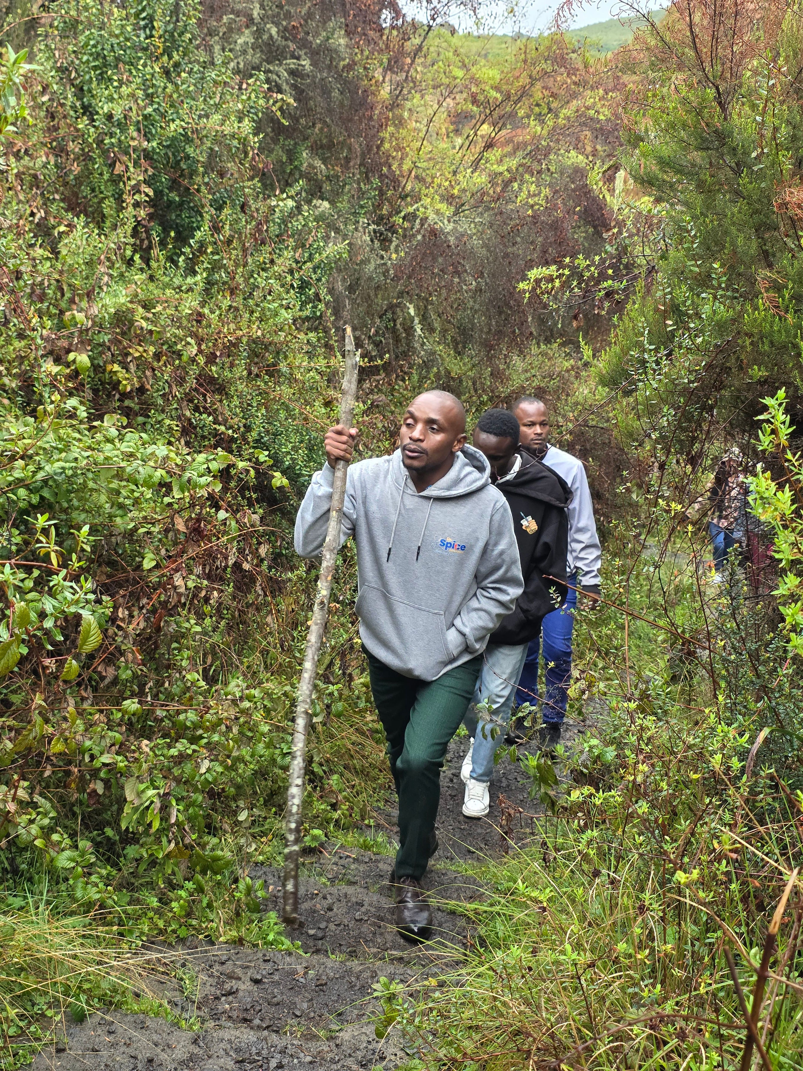 Wellness Experience 13